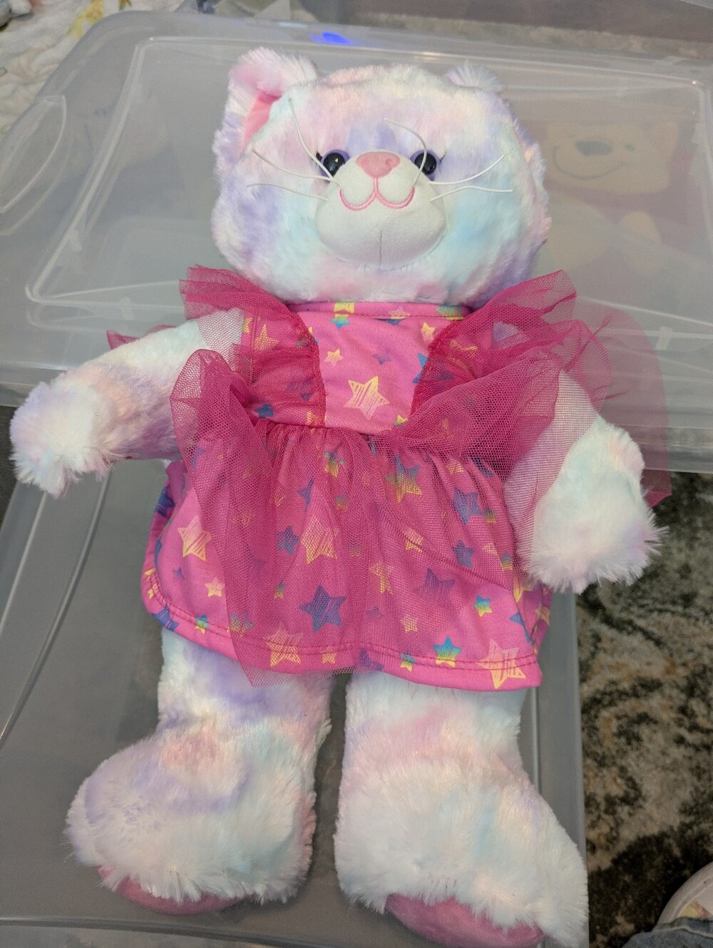 Plush Rainbow Cat From Build A Bear in Pink Star Dress - Soft Stuffed Animal